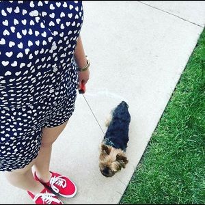 ijoah navy blue heart romper